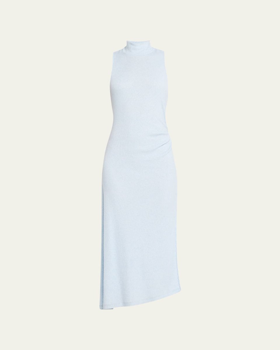 Ximena Turtleneck Midi Dress